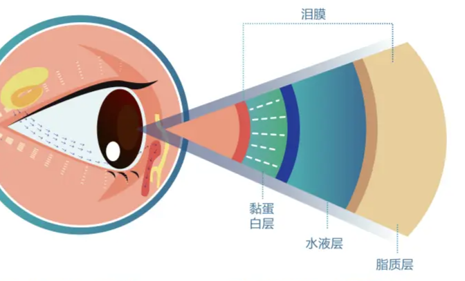 微(wēi)信圖片_20240806142626